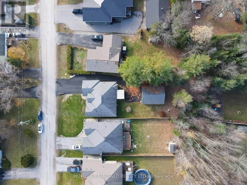 17 Tree Top Street — photo 3 of 40