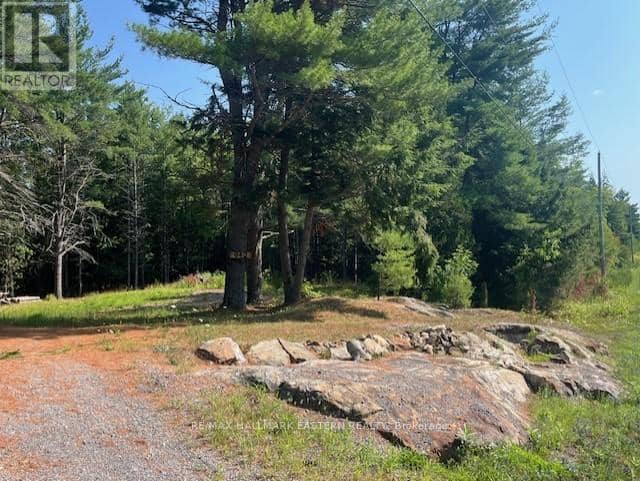 942 Balmer Road, North Kawartha, photo 2