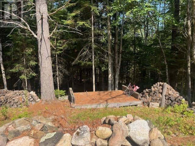 942 Balmer Road, North Kawartha, photo 5