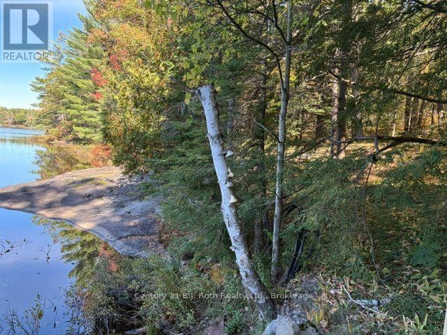 2 - 1112 Sam Cook Road, Gravenhurst, photo 6