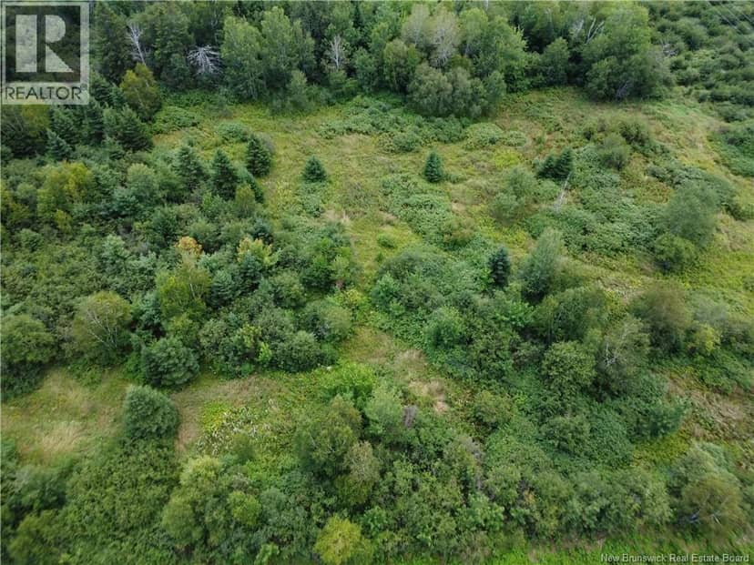 Lot Jean-Louis, Tremblay, photo 4