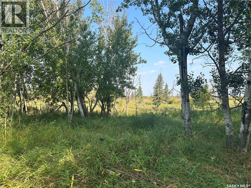 Weaver Acreage — photo 9 of 16