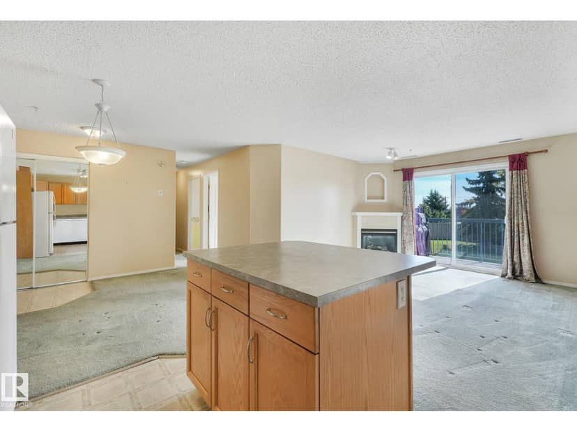 #204 16303 95 ST NW — photo 9 of 40