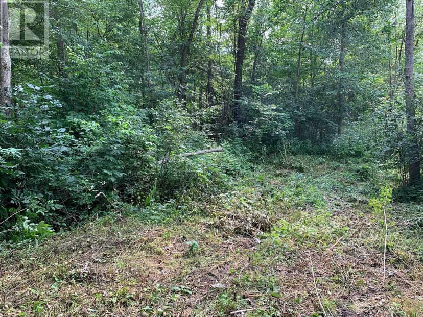 00 CON11 Pine Grove Road — photo 12 of 13