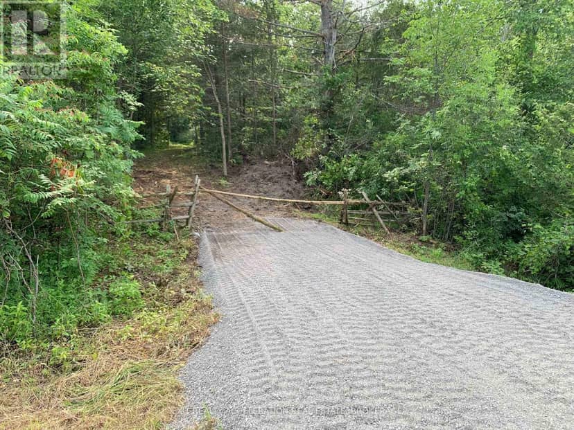 00 CON11 Pine Grove Road, Greater Napanee, photo 7