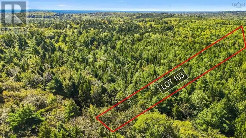103&104 Arenburg Road, Buckfield, photo 4