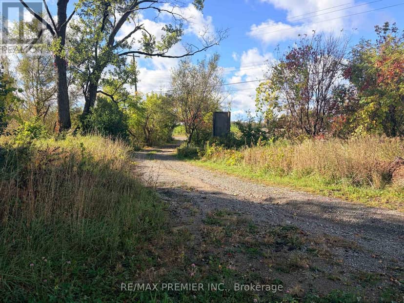 8665 Hwy 11, Severn, photo 2