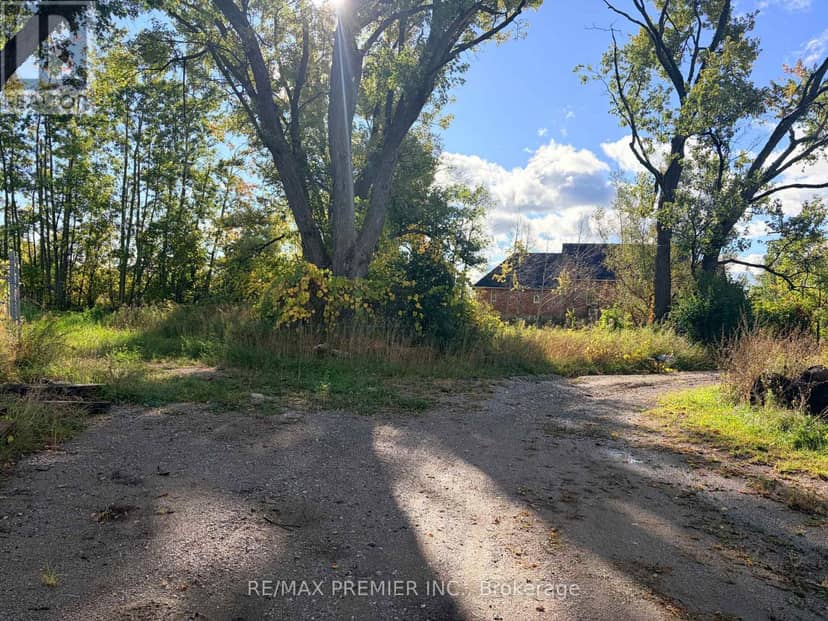 8665 Hwy 11, Severn, photo 3
