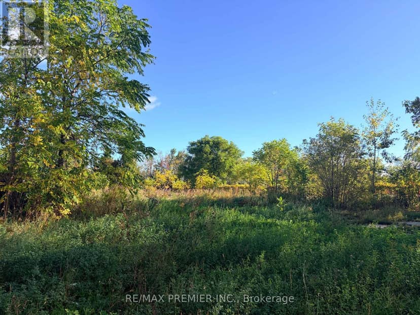 8665 Hwy 11, Severn, photo 7