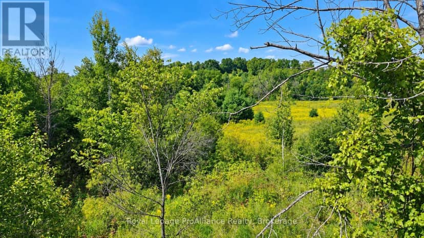 0 Campbell Road — photo 16 of 25