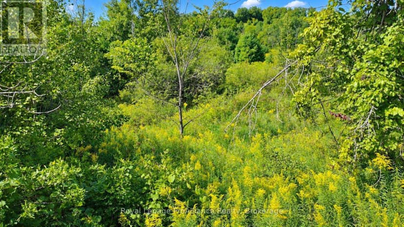 0 Campbell Road — photo 17 of 25