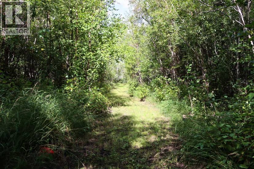 72365 Highway 49 — photo 10 of 40