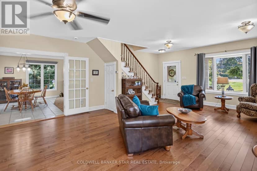 137 St George Street — photo 10 of 40