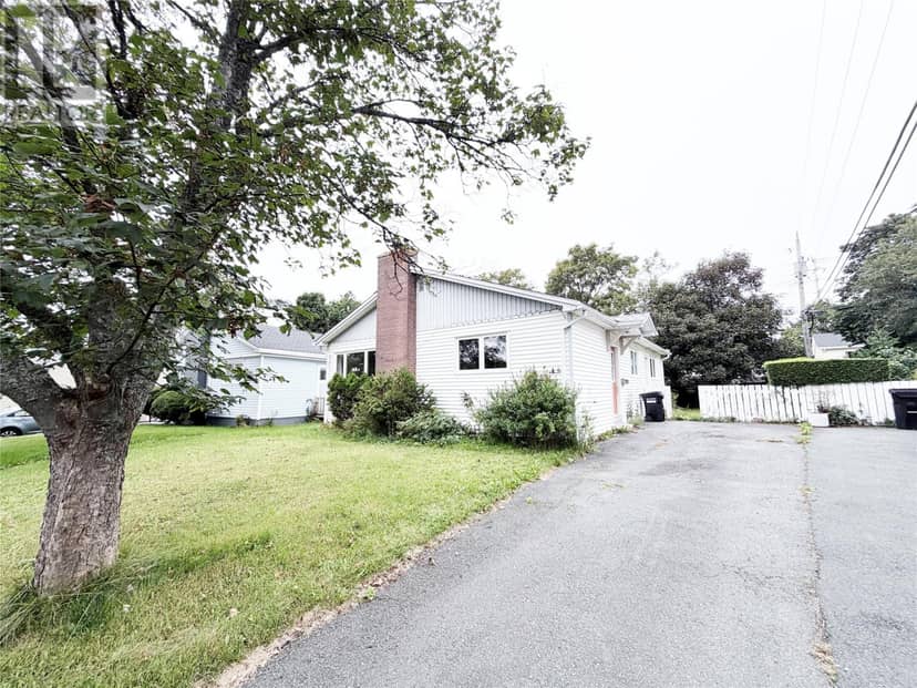 6 Dorset Street, St. John's, photo 3