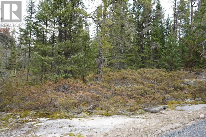 Lot 4 Gunn Lake Road — photo 32 of 36