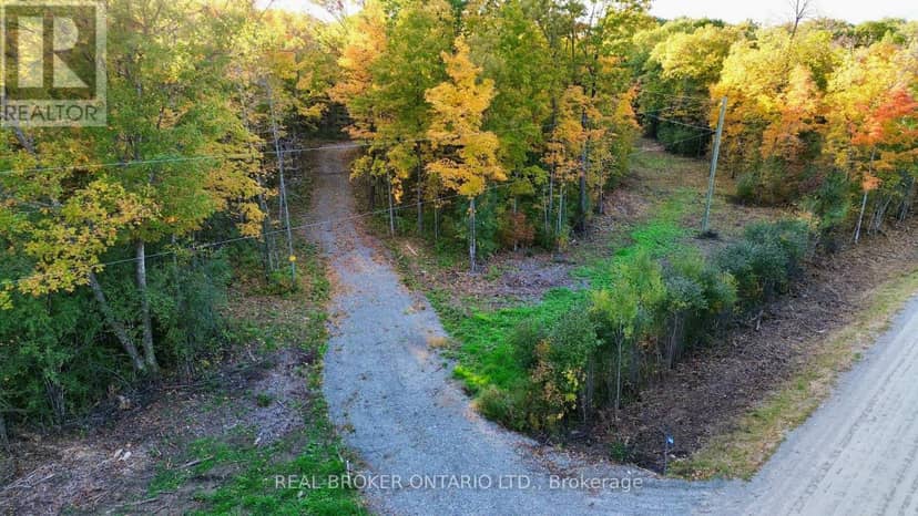 349 Burchill Road — photo 14 of 26