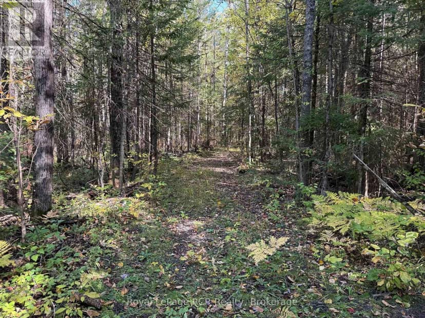 Pt Lt 1-2 Concession 3, Georgian Bluffs, photo 4