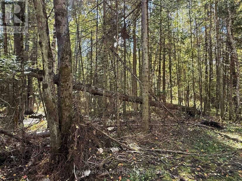 Pt Lt 1-2 Concession 3, Georgian Bluffs, photo 7