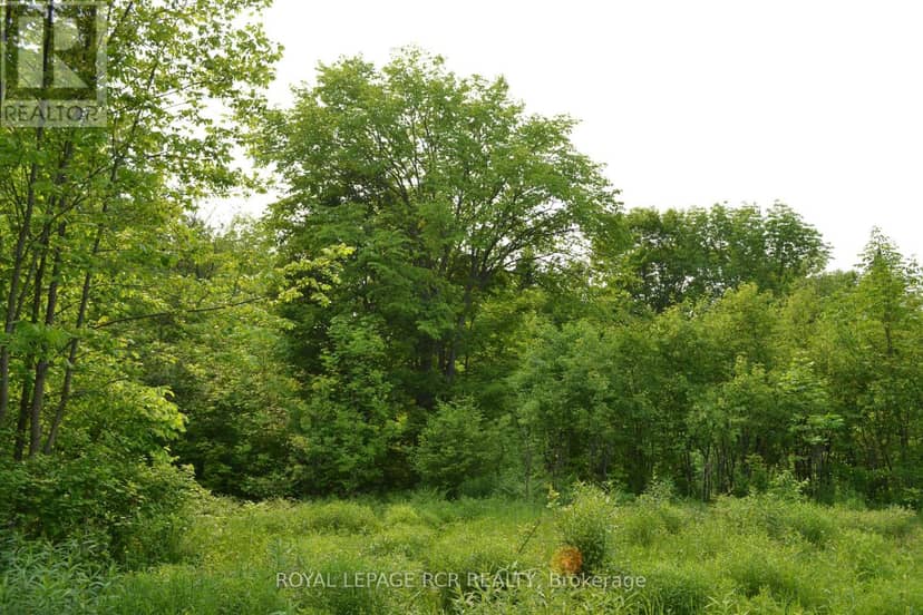 1527 Madill Road, Highlands East, photo 3