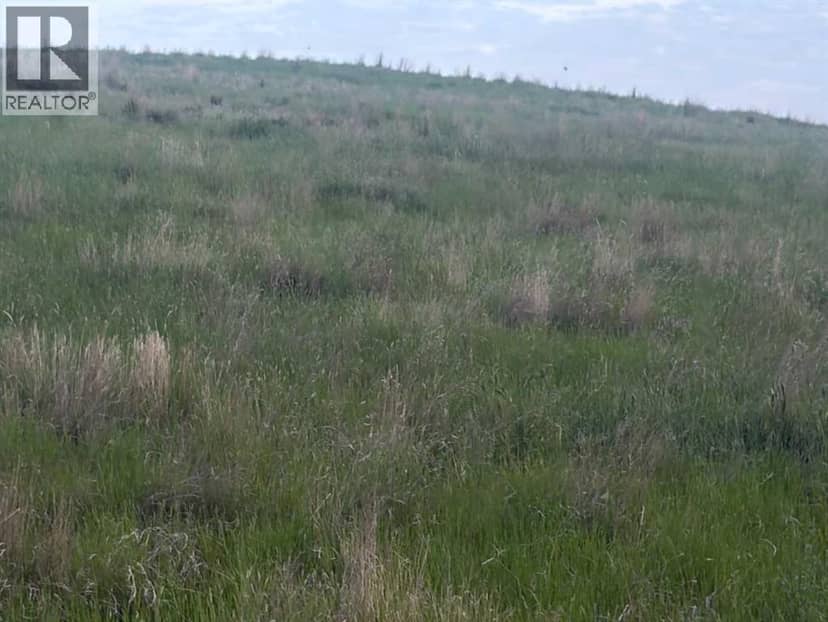 261 Range E, Rural Willow Creek No. 26, M.D. of, photo 6