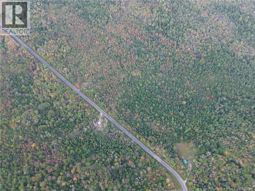 Lot 1 Bronson Settlement Road, Bronson Settlement, photo 6