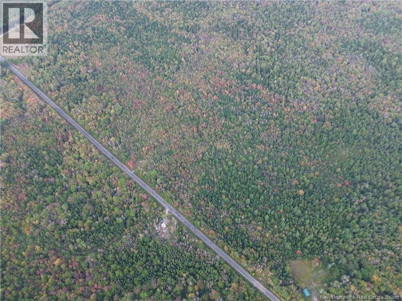 Lot 1 Bronson Settlement Road, Bronson Settlement, photo 7