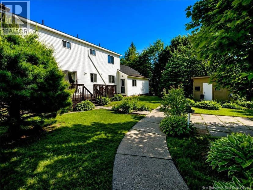 53 Hector, Neguac, photo 4