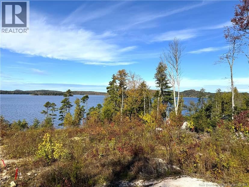 Bluff Road — photo 13 of 32