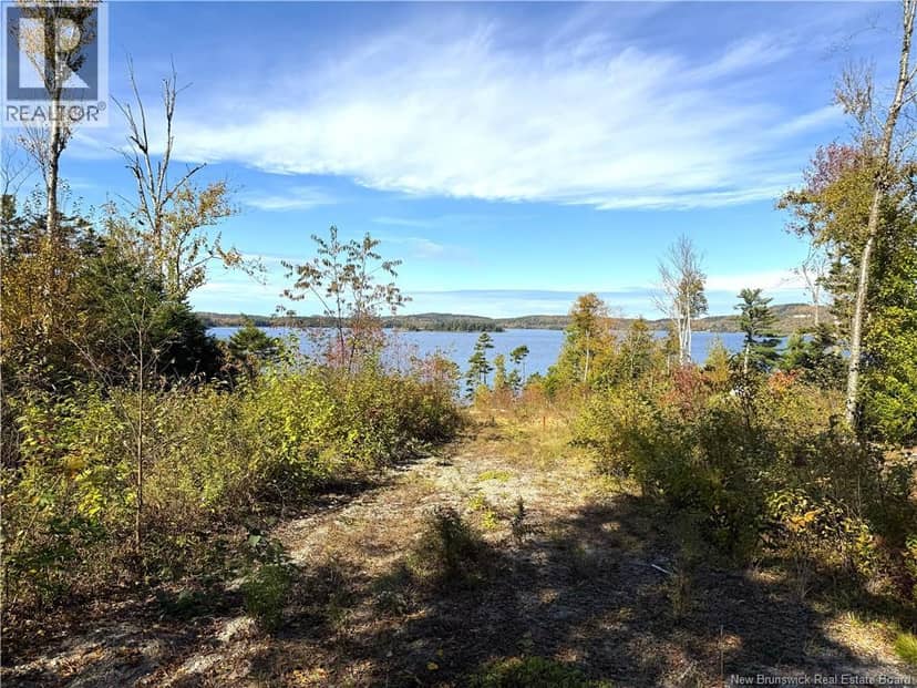 Bluff Road — photo 16 of 32