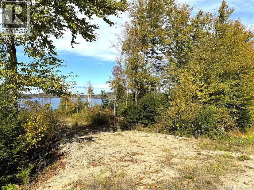 Bluff Road — photo 17 of 32