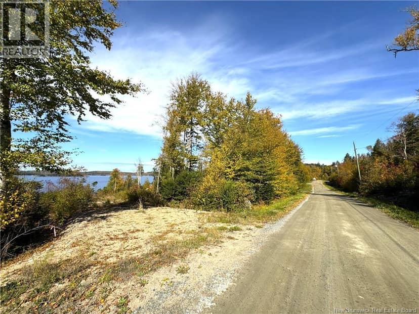 Bluff Road — photo 18 of 32