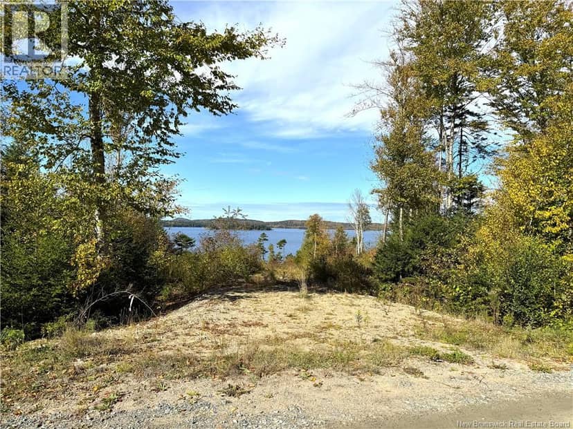 Bluff Road — photo 19 of 32