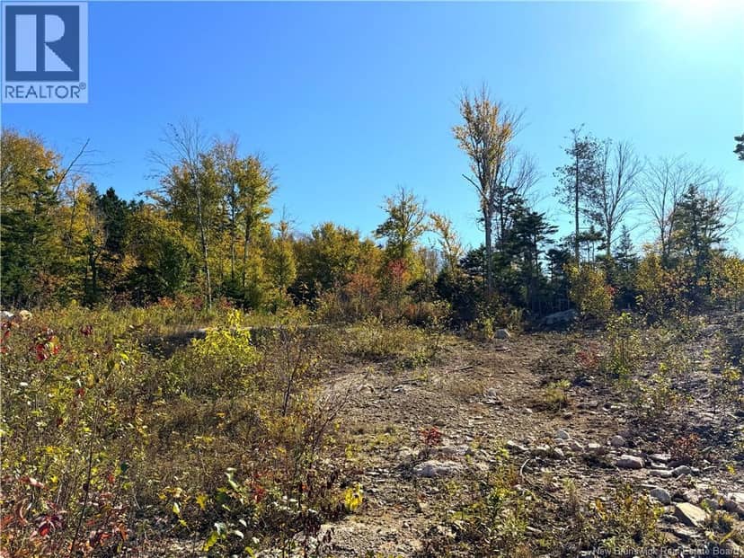 Bluff Road — photo 20 of 32