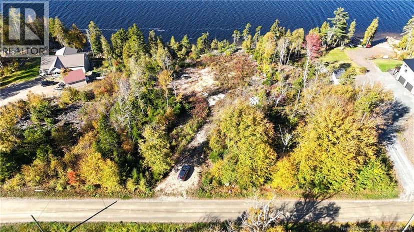 Bluff Road — photo 4 of 32