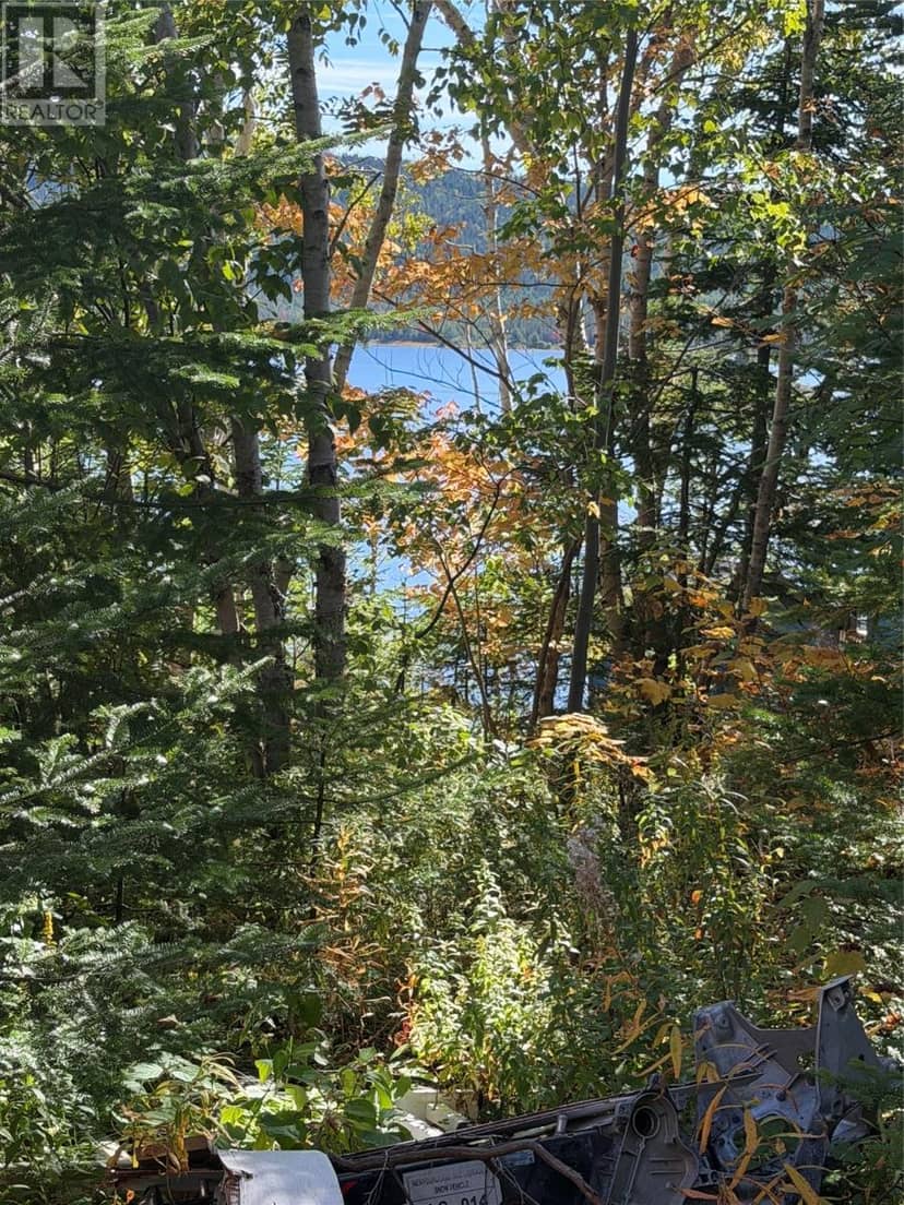 26 Pinchgut Road, Pinchgut Lake, photo 6