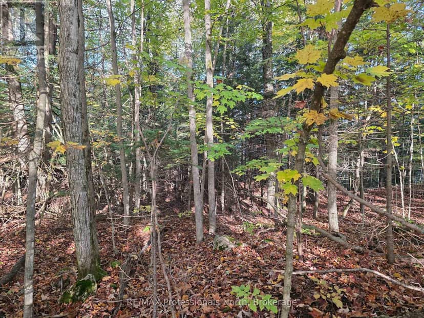 Pt Lt 13 Con 9 35 Highway, Minden Hills, photo 5