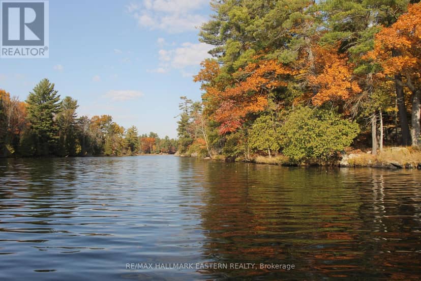 Lots 1 And 2 - C280 Lower Buckhorn Lake, Trent Lakes, photo 2