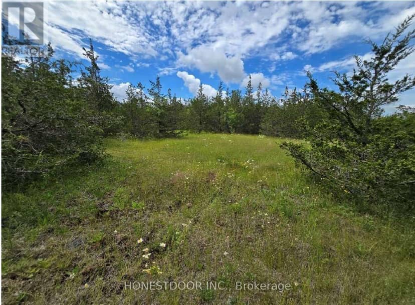 359 Goodyear Road, Greater Napanee, photo 3
