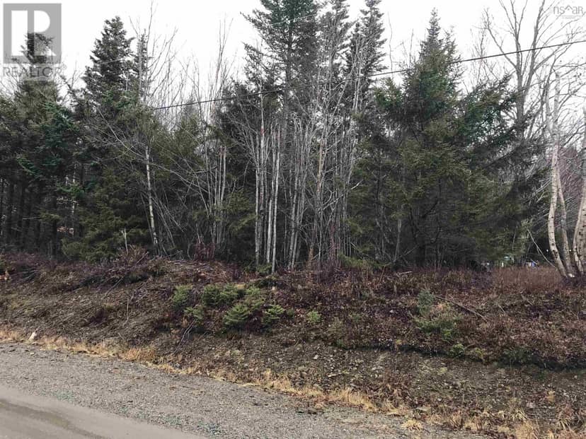 Lot, Belleville Road — photo 3 of 4