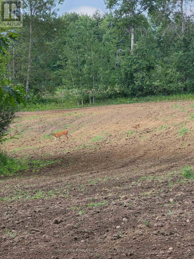 00 County Road 42 Road — photo 3 of 27