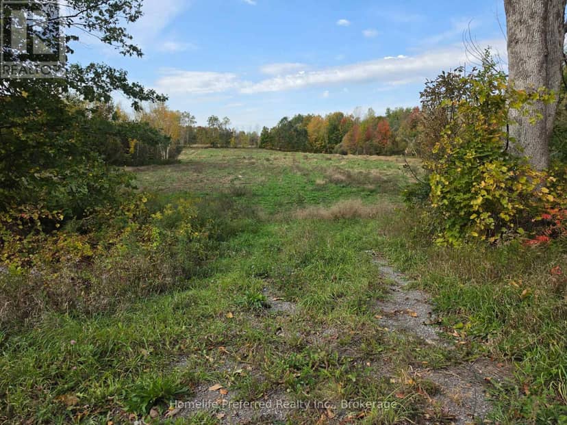 00 County Road 42 Road — photo 4 of 27