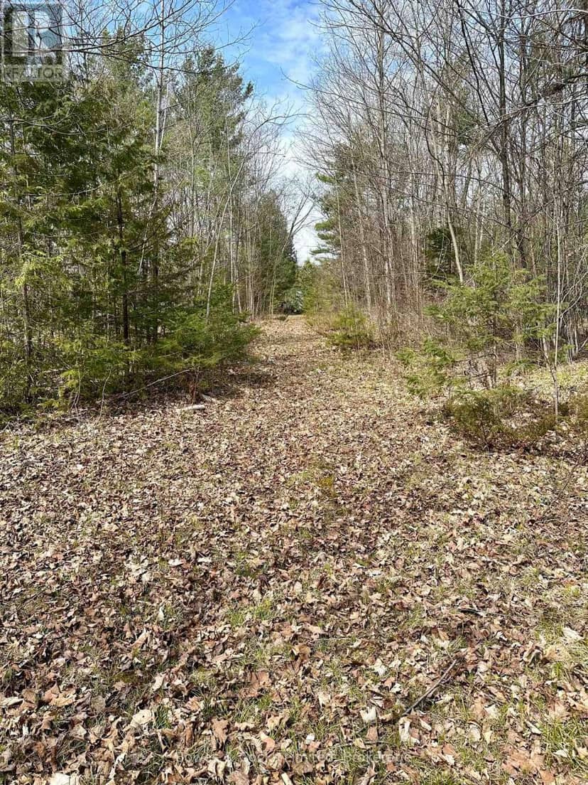 2981 County Road 44 — photo 10 of 30