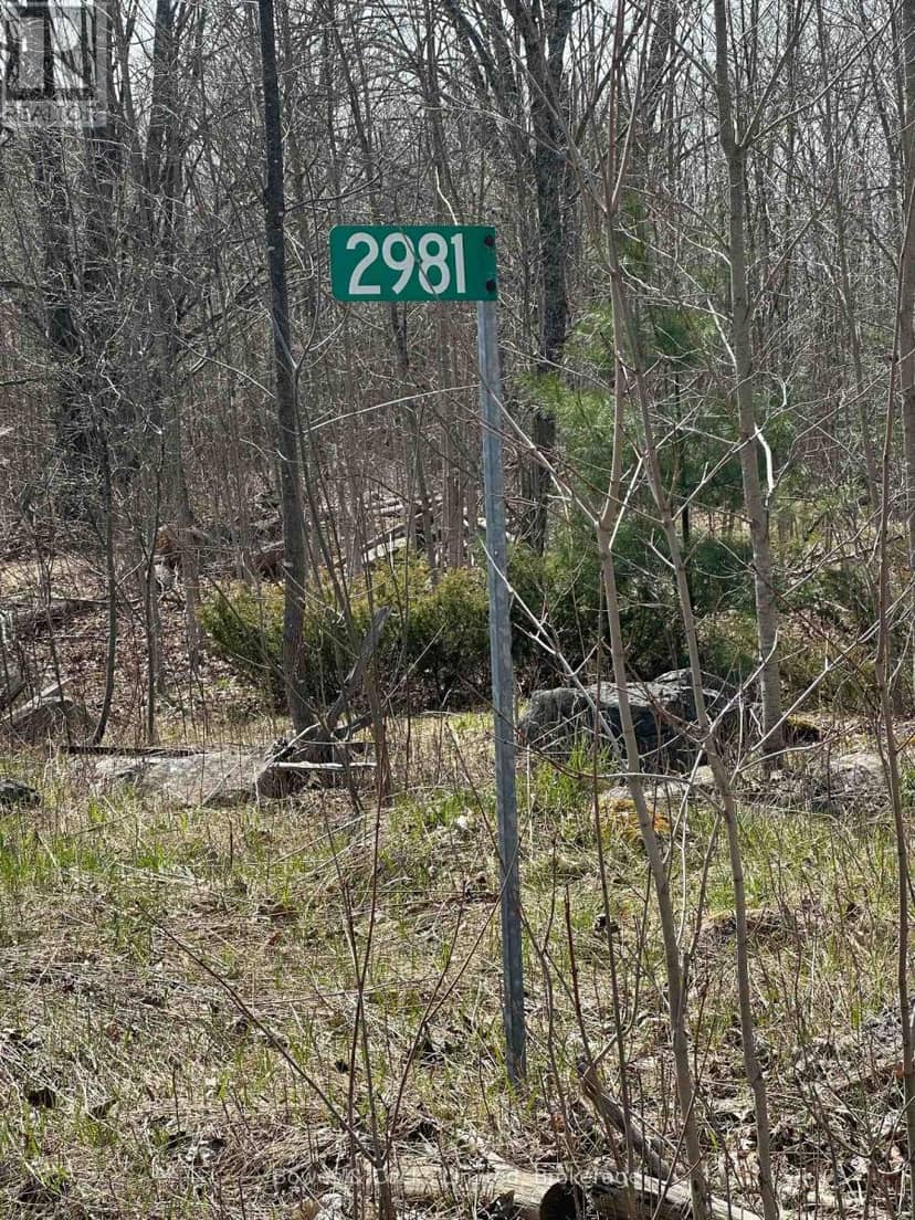 2981 County Road 44, Havelock-Belmont-Methuen, photo 7