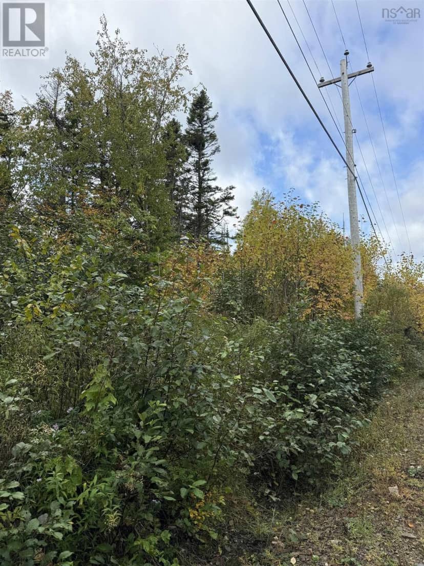 Tower Road, Mulgrave, photo 8