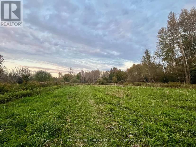 345198 15 Side Road, Amaranth, photo 8