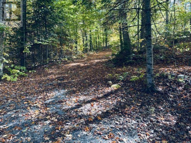 245 West Diamond Lake Road — photo 26 of 27