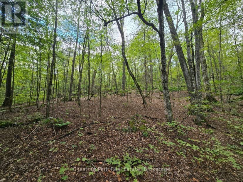 00 Old Track Road — photo 18 of 40