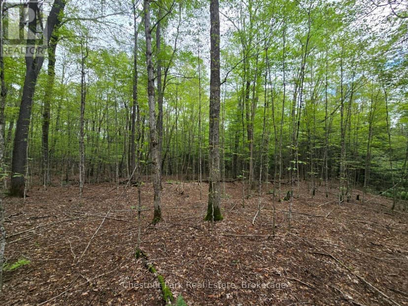 00 Old Track Road — photo 20 of 40