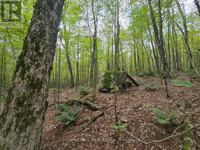 00 Old Track Road — photo 26 of 40