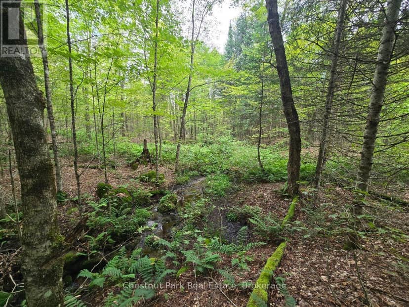 00 Old Track Road — photo 27 of 40